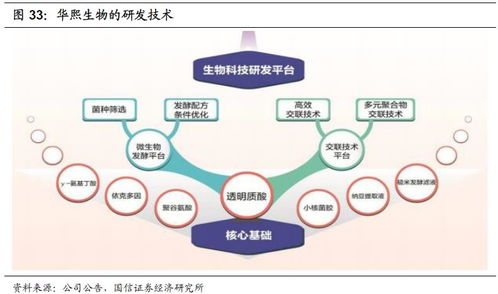 化妝品行業(yè)2020年投資展望 產(chǎn)品先行，流量催化，資本助力